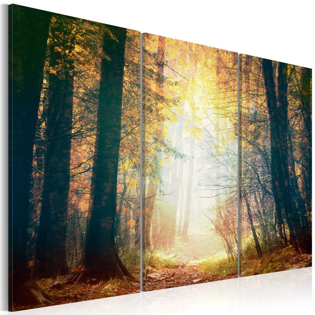 Paveikslas - Beauty of autumn - triptych цена и информация | Reprodukcijos, paveikslai | pigu.lt
