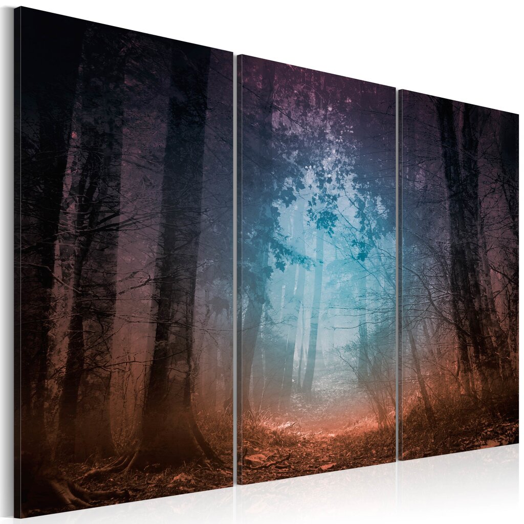 Paveikslas - Edge of the forest - triptych kaina ir informacija | Reprodukcijos, paveikslai | pigu.lt