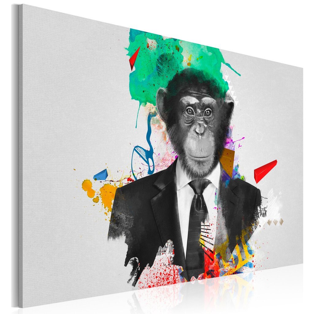 Paveikslas - Mr Monkey цена и информация | Reprodukcijos, paveikslai | pigu.lt