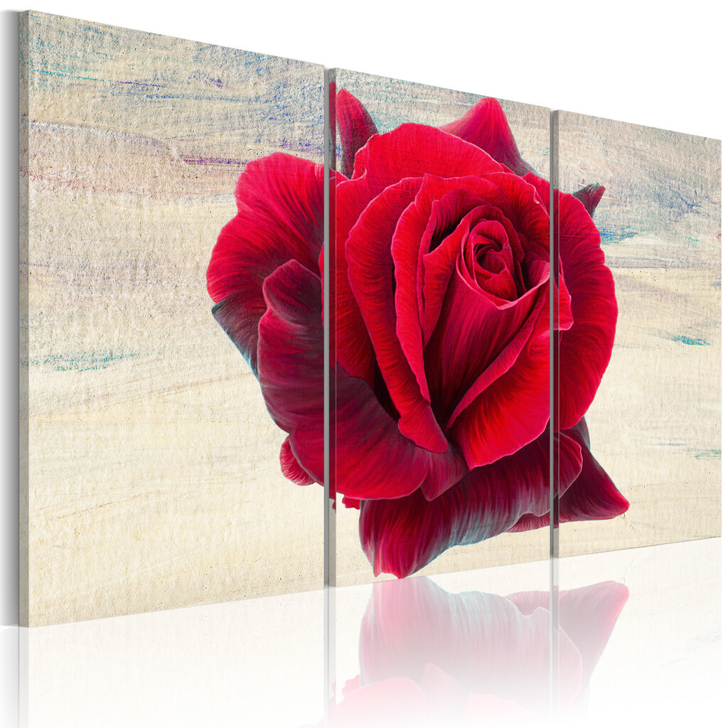Paveikslas - Lyrical rose kaina ir informacija | Reprodukcijos, paveikslai | pigu.lt