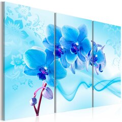 Paveikslas - Ethereal orchid - blue kaina ir informacija | Reprodukcijos, paveikslai | pigu.lt