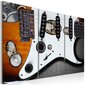 Paveikslas - Guitar Hero kaina ir informacija | Reprodukcijos, paveikslai | pigu.lt