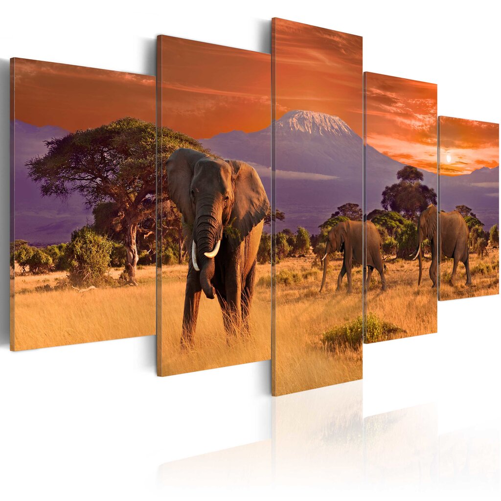Paveikslas - Africa: Elephants kaina ir informacija | Reprodukcijos, paveikslai | pigu.lt