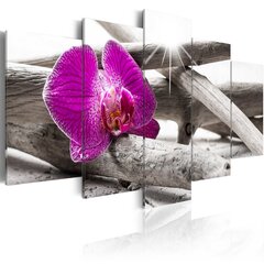 Paveikslas - Orchid on beach kaina ir informacija | Reprodukcijos, paveikslai | pigu.lt