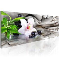 Paveikslas - Zen composition: bamboo, orchid and stones kaina ir informacija | Reprodukcijos, paveikslai | pigu.lt