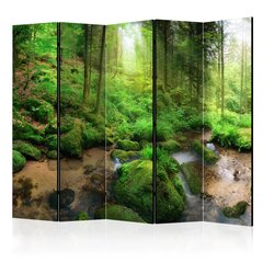 Pertvara - Humid Forest II [Room Dividers] kaina ir informacija | Širmos, kambario pertvaros | pigu.lt