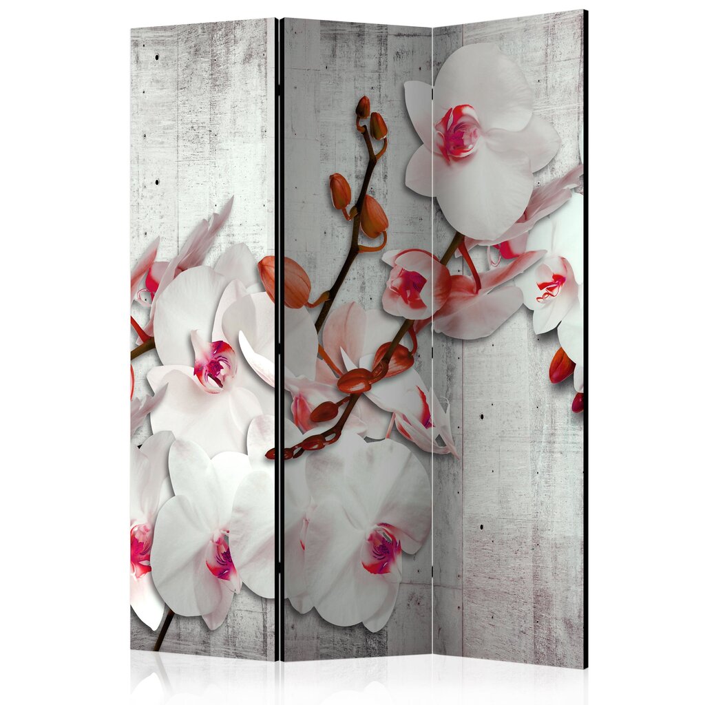 Pertvara - Concrete Orchid [Room Dividers] kaina ir informacija | Širmos, kambario pertvaros | pigu.lt