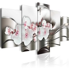 Paveikslas - The beauty of orchids kaina ir informacija | Reprodukcijos, paveikslai | pigu.lt