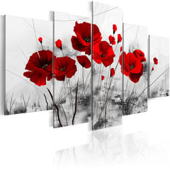 Paveikslas - Poppies - Red Miracle цена и информация | Репродукции, картины | pigu.lt