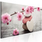 Paveikslas - Zen: Cherry Blossoms IV kaina ir informacija | Reprodukcijos, paveikslai | pigu.lt
