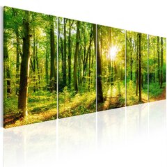 Paveikslas - Magic Forest цена и информация | Репродукции, картины | pigu.lt