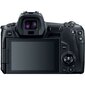 Canon EOS R Body + Mount Adapter EF-EOS R kaina ir informacija | Skaitmeniniai fotoaparatai | pigu.lt
