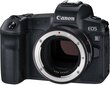 Canon EOS R Body + Mount Adapter EF-EOS R kaina ir informacija | Skaitmeniniai fotoaparatai | pigu.lt