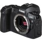 Canon EOS R Body + Mount Adapter EF-EOS R kaina ir informacija | Skaitmeniniai fotoaparatai | pigu.lt