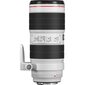 Canon EF 70-200mm f/2.8L IS III USM kaina ir informacija | Objektyvai | pigu.lt