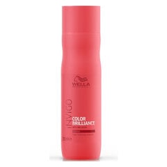 Šampūnas dažytiems plaukams Wella Invigo Color Brilliance 250 ml kaina ir informacija | Wella Plaukų priežiūrai | pigu.lt