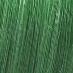 Краска для волос Wella Color Fresh Create Neverseen Green, 60 мл цена и информация | Краска для волос | pigu.lt