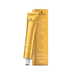 Profesionalūs plaukų dažai Schwarzkopf Professional IGORA Royal Absolutes, 7-10 Blond Medium Ash Natural, 60 ml цена и информация | Краска для волос | pigu.lt