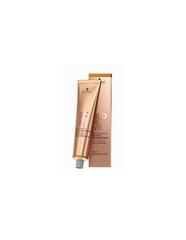 Plaukų dažai Blondme Special Blonde Cream Sweeping Warm Gold, 60 ml kaina ir informacija | Plaukų dažai | pigu.lt