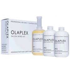 Plaukų priemonių rinkinys Olaplex Salon Into Kit 3x525 ml kaina ir informacija | Priemonės plaukų stiprinimui | pigu.lt