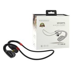 Наушники BLUETOOTH FINEBLUE MAX SPORT 300 M3 BLACK CHANNEL IN-EAR HEADPHONES цена и информация | Наушники | pigu.lt