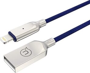 Usams IPYSUSB202 kaina ir informacija | Adapteriai, USB šakotuvai | pigu.lt