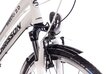 Moteriškas miesto dviratis Chrisson Sereto 2.0 28", pilkas цена и информация | Dviračiai | pigu.lt