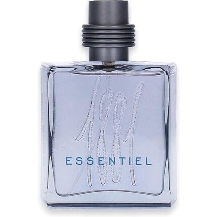 Tualetinis vanduo Cerruti 1881 Essentiel EDT vyrams 100 ml цена и информация | Kvepalai vyrams | pigu.lt