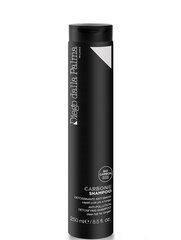 Plaukų šampūnas Diego Dalla Palma detoxifying anti smog, 250 ml kaina ir informacija | Šampūnai | pigu.lt
