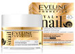 Veido kremas nuo raukšlių Eveline Cosmetics Royal Snail 40+ 50 ml kaina ir informacija | Veido kremai | pigu.lt