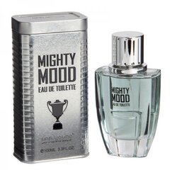 Туалетная вода Linn Young Mighty Mood EDT для мужчин 100 мл цена и информация | Мужские духи | pigu.lt