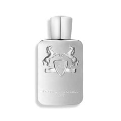 Kvapusis vanduo Parfums De Marly Men's Pegasus EDP vyrams, 125 ml kaina ir informacija | Kvepalai vyrams | pigu.lt