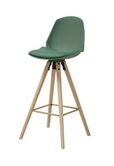 Барный стул Oslo L, зеленый/дуб цена и информация | Стулья для кухни и столовой | pigu.lt