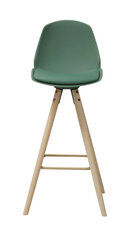 Барный стул Oslo L, зеленый/дуб цена и информация | Стулья для кухни и столовой | pigu.lt