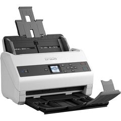 Epson B11B250401 kaina ir informacija | Skeneriai | pigu.lt