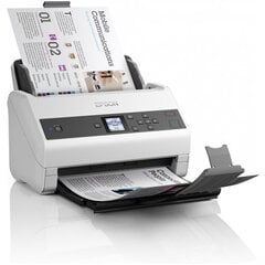 Epson B11B251401 цена и информация | Сканеры | pigu.lt