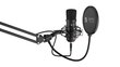 Komplektas: Kondensatorinis Mikrofonas Silentium PC Gear SM900 Black (Juodas) + Pop-Filter + Shock-Mount + Adjustable Arm цена и информация | Mikrofonai | pigu.lt