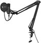 Komplektas: Kondensatorinis Mikrofonas Silentium PC Gear SM900 Black (Juodas) + Pop-Filter + Shock-Mount + Adjustable Arm цена и информация | Mikrofonai | pigu.lt