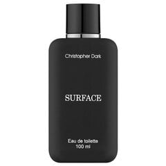 Туалетная вода Christopher Dark Surface EDT для мужчин, 100 мл цена и информация | Мужские духи | pigu.lt