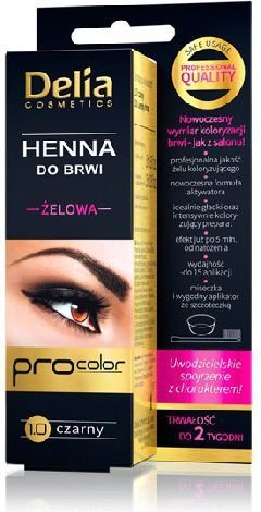 Antakių dažai Delia Cosmetics Henna 15 ml, 1.0 Black kaina ir informacija | Antakių dažai, pieštukai | pigu.lt