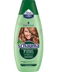 Освежающий шампунь для жирных и нормальных волос Schwarzkopf Schauma 7 Herbs, 250 мл цена и информация | Шампуни | pigu.lt