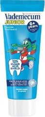 Vademecum Junior зубная паста 75 ml цена и информация | Зубные щетки, пасты | pigu.lt