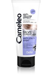 Plaukų kondicionierius Delia Cosmetics Cameleo Silver 200 ml kaina ir informacija | Balzamai, kondicionieriai | pigu.lt