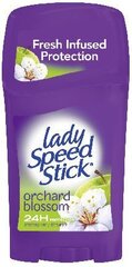 Дезодорант-карандаш Lady Speed ​​Stick Orchard Blossom, 45 г цена и информация | Дезодоранты | pigu.lt