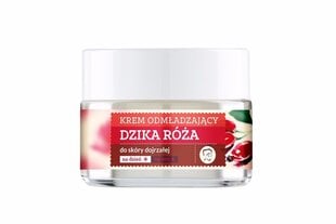 Омолаживающий дневной и ночной крем для лица Farmona Herbal Care Wild Rose 50 мл цена и информация | Кремы для лица | pigu.lt