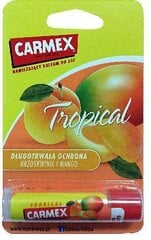 Бальзам для губ Carmex Tropical, 4,25 г цена и информация | Помады, бальзамы, блеск для губ | pigu.lt