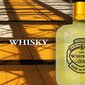 Tualetinis vanduo Evaflor Whisky EDT vyrams 100 ml kaina ir informacija | Kvepalai vyrams | pigu.lt