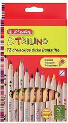 Spalvoti pieštukai Herlitz, 12 vnt. kaina ir informacija | Piešimo, tapybos, lipdymo reikmenys | pigu.lt