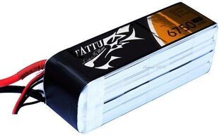 Аккумулятор Tattu 6750 мАч, 14.8 В, 25C 4S1P цена и информация | Смарттехника и аксессуары | pigu.lt