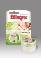 Lūpų balzamas Blistex SPF15 7 ml kaina ir informacija | Lūpų dažai, blizgiai, balzamai, vazelinai | pigu.lt